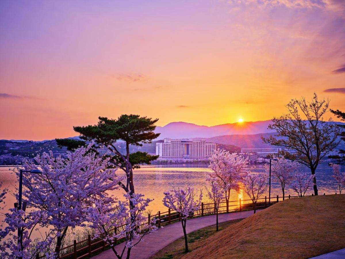 Sono Belle Gyeongju Hotel Eksteriør billede