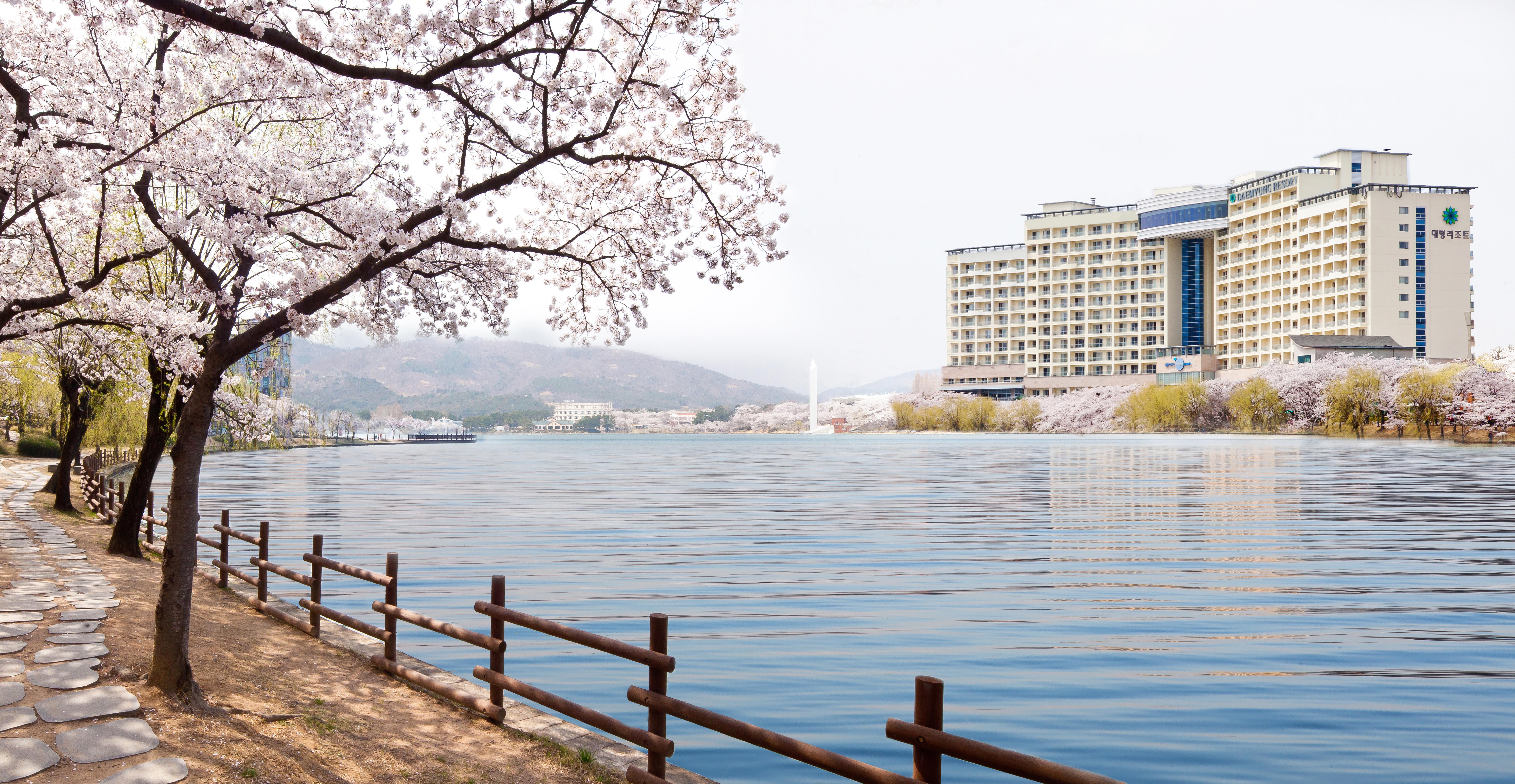 Sono Belle Gyeongju Hotel Eksteriør billede